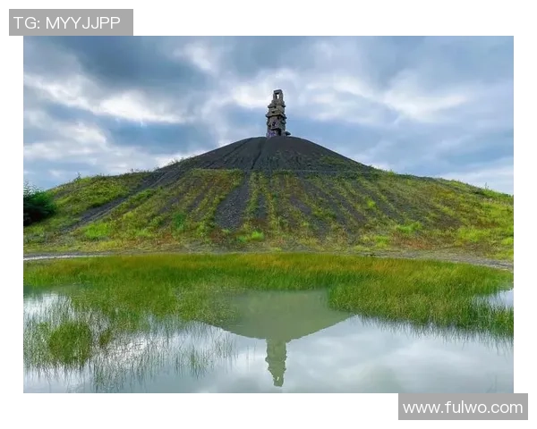 探索布莱克尼的魅力与历史发现这座城市中的隐藏宝藏与文化遗产
