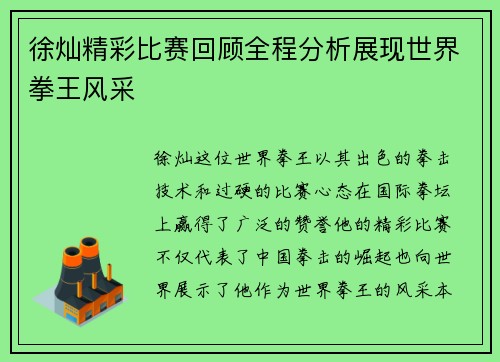 徐灿精彩比赛回顾全程分析展现世界拳王风采