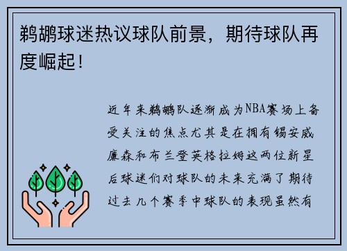 鹈鹕球迷热议球队前景，期待球队再度崛起！